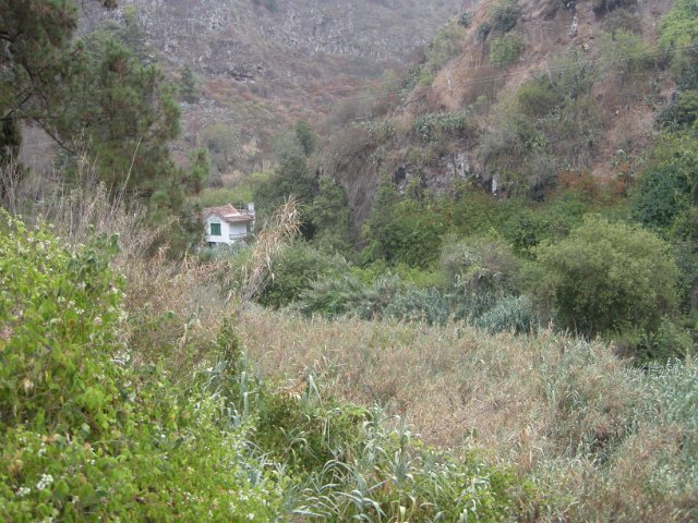 Gran Canaria 277